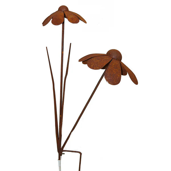 Duo Daisy Rust Flower Stake