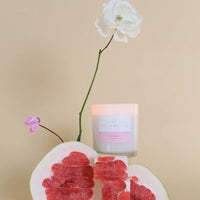 Pomelo & Dewberry | Standard Candle