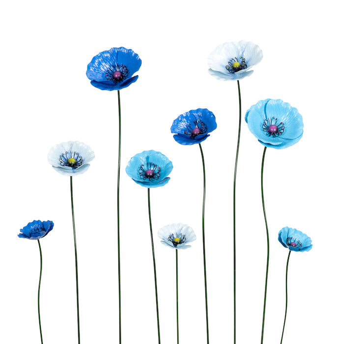 Stake Poppy Blue