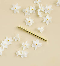 Metal Rollerball Pen | Golden