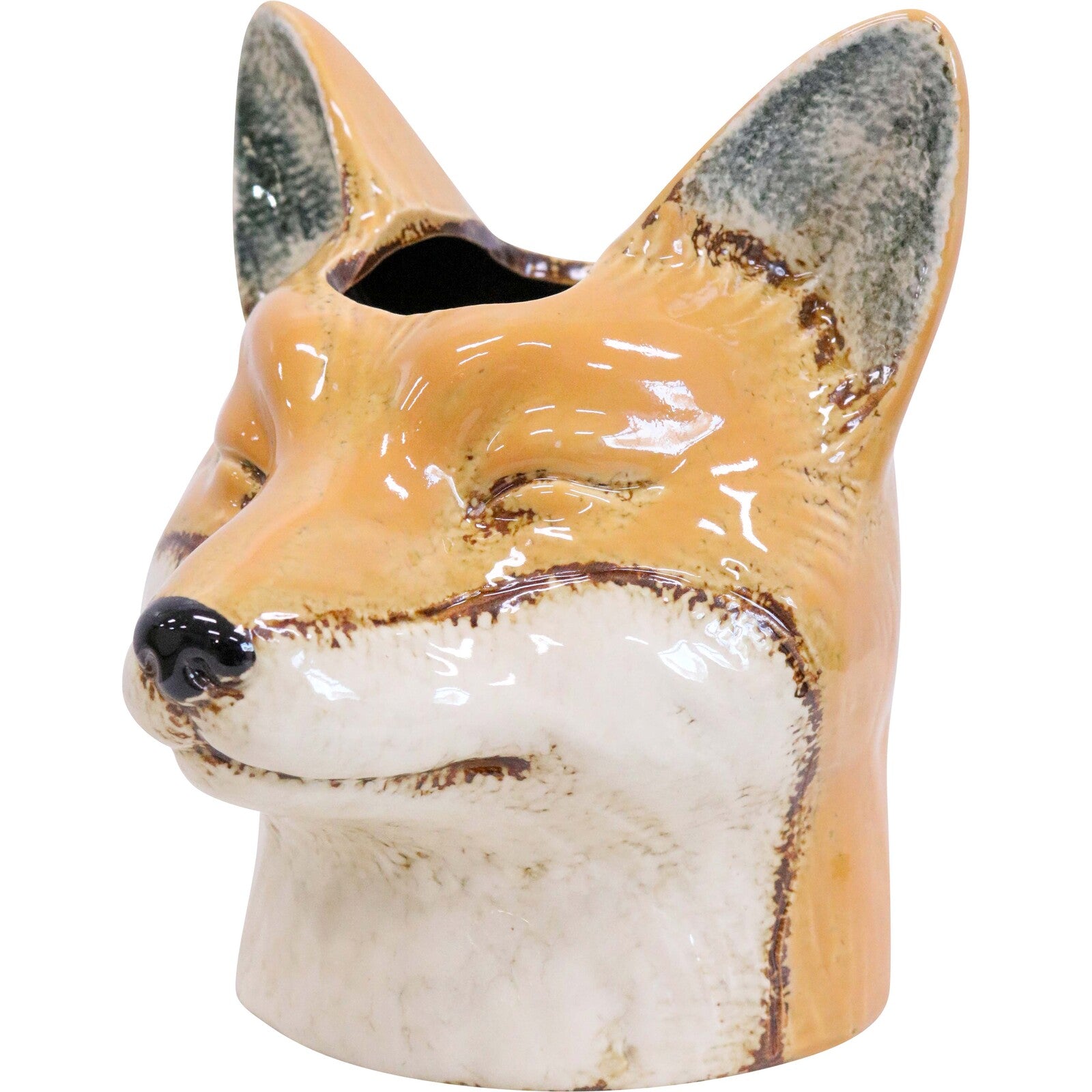 Planter Sly Fox