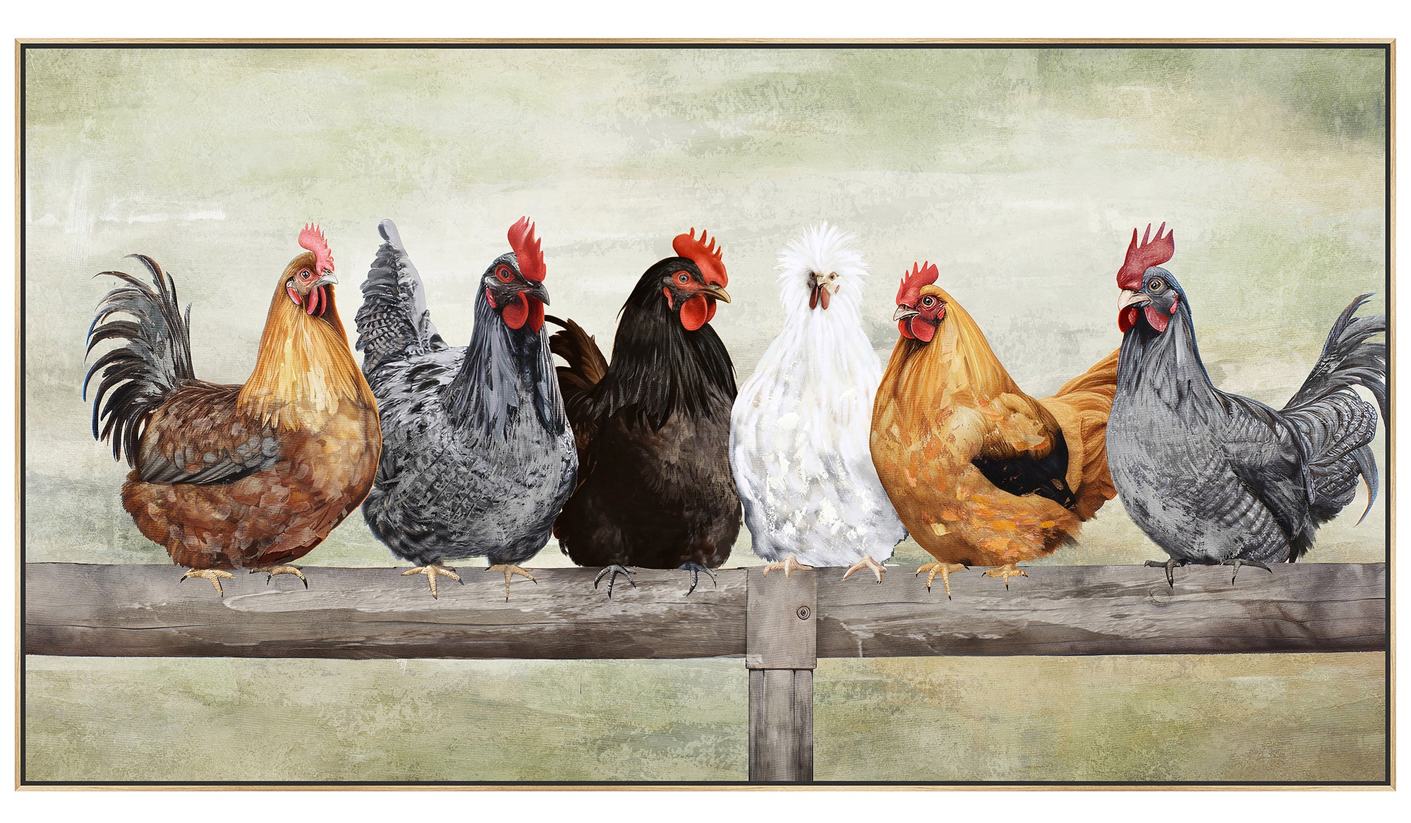 Cluck Comfort Painting | Framed Canvas | 112x62cm