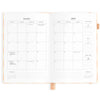 2025 A5 Horizontal Planner | Salmon Check