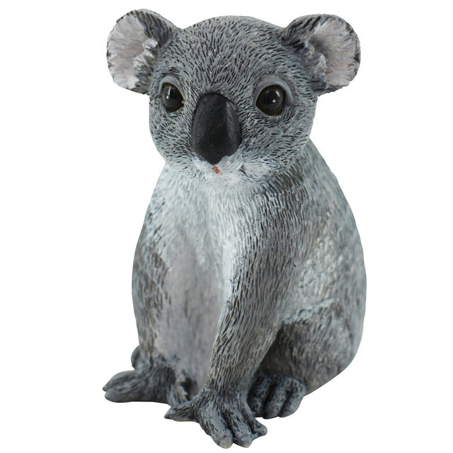 Native Koala