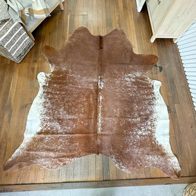 Longhorn Cowhide 9 | Floor Rug