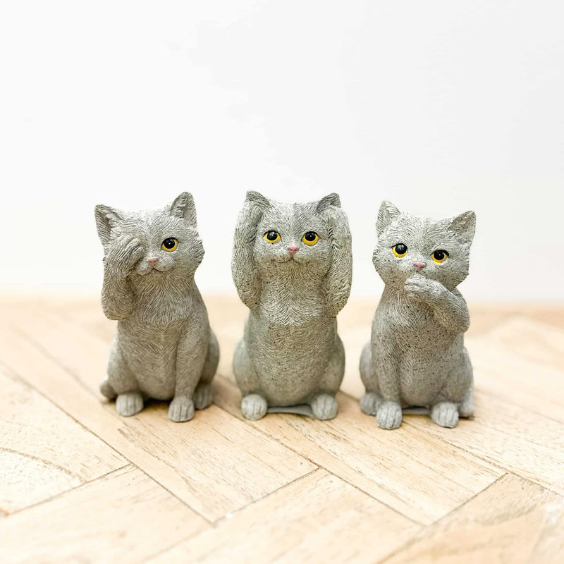 Hear No See No Speak No Evil | Cat