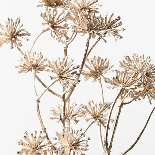 Aralia Metallic Spray