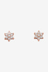 Petal Rose Gold Stud Earring