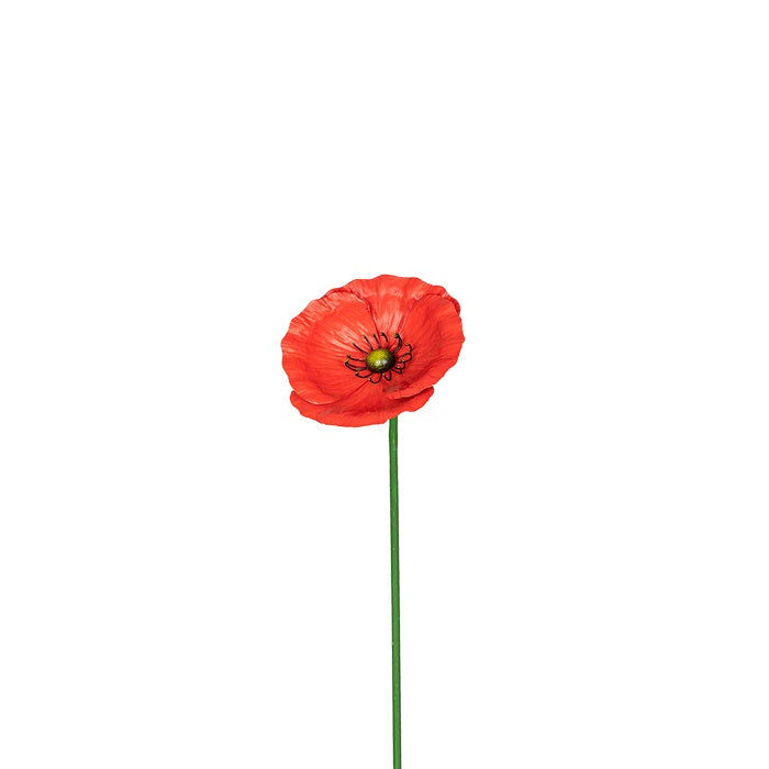 Stake Poppy Red