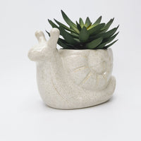 Snail Planter Speckle White