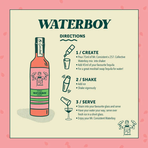 Waterboy Cocktail Mixer (Watermelon Margi) | 750 ml3