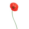 Stake Poppy Red