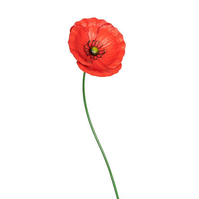 Stake Poppy Red