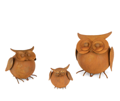 Owl Rust Family