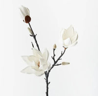 Magnolia Japanese Spray