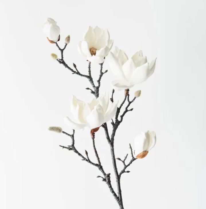 Magnolia Japanese Spray