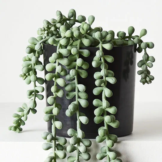 String Of Pearls