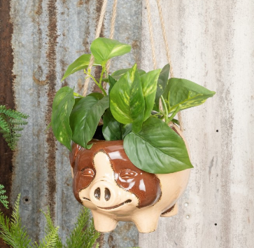 Pig Hanging Pot