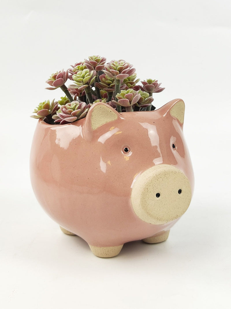 Pig Planter | Pink